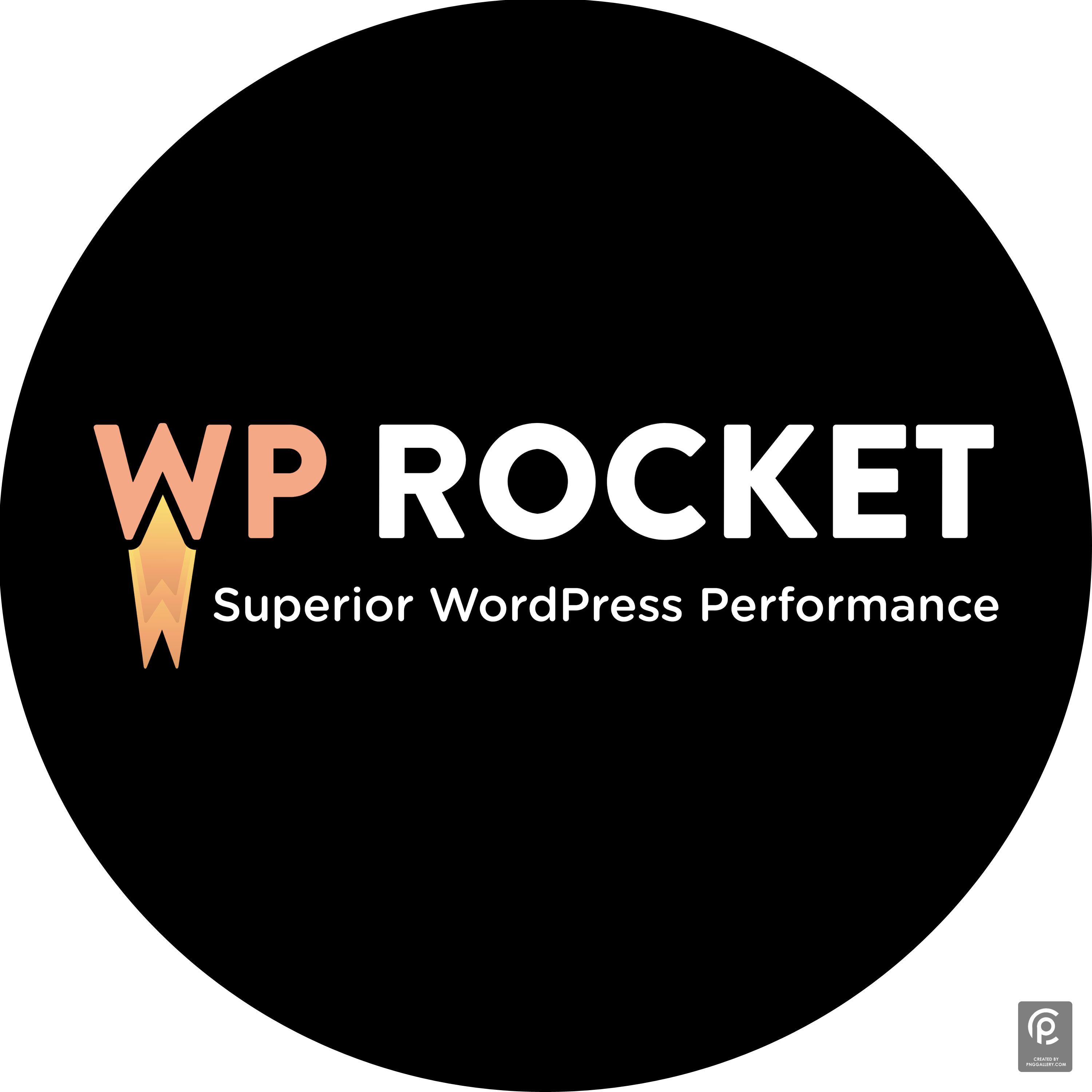 WordPress CMS